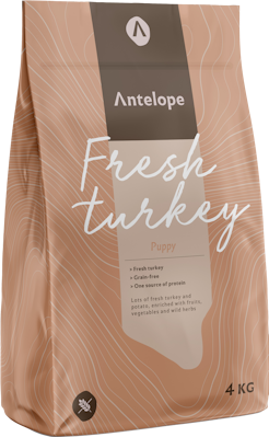 Antelope turkey 4kg